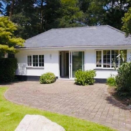 Chadham Pines Cottage Poole Buitenkant foto